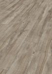 D3662 Montmelo Eiche Silber