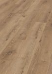 D3668 Eiche Dezent